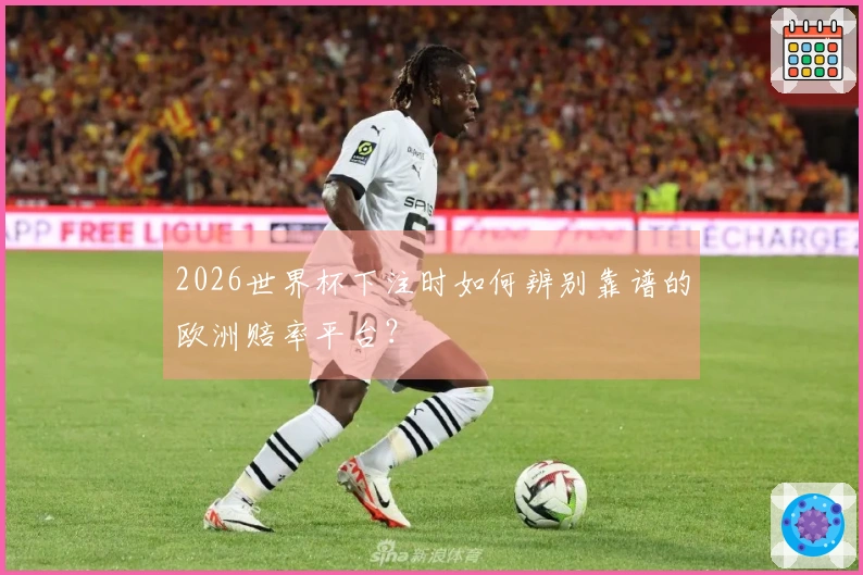 2026世界杯下注时如何辨别靠谱的欧洲赔率平台?